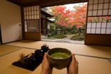 Tokyo MAP - Matcha - Japan Google Maps Guide